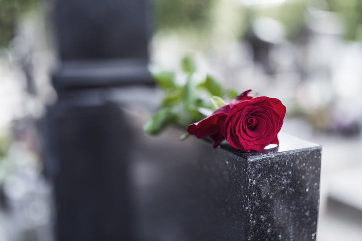 Rose on a grave